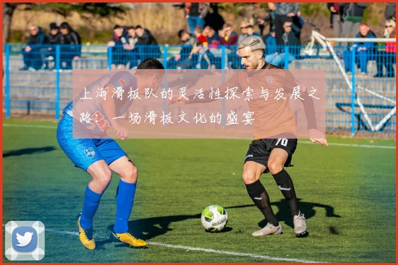 上海滑板队的灵活性探索与发展之路：一场滑板文化的盛宴