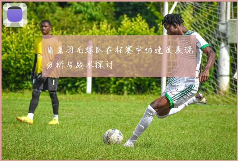 南京羽毛球队在杯赛中的速度表现分析与战术探讨
