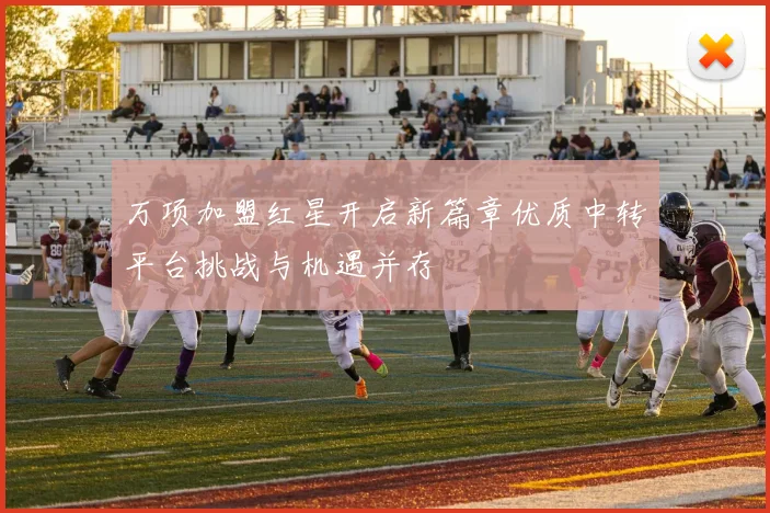 万项加盟红星开启新篇章优质中转平台挑战与机遇并存