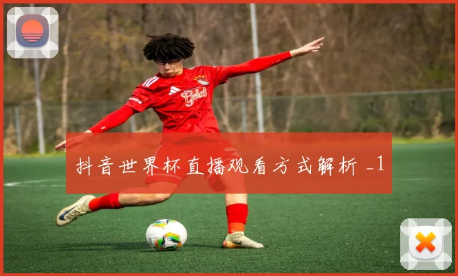 抖音世界杯直播观看方式解析 _1